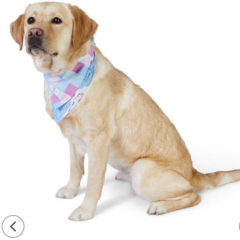 Vineyard Vines for Target pet bandana